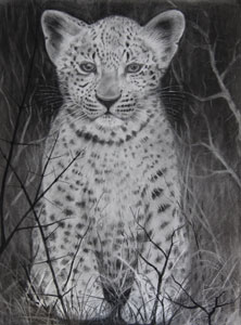 Second Leopard Cub